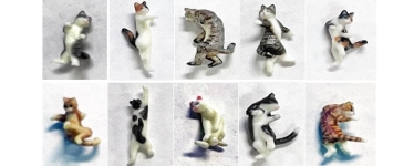 KATO-Lemke K6-605 - H0 - Ninja-Katze
